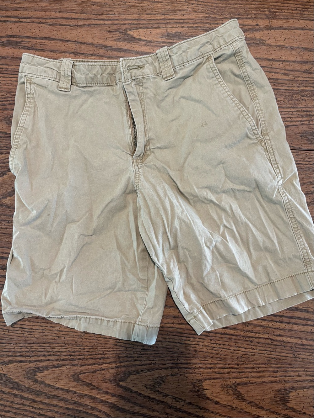 American Eagle Outfitters Tan Flat Front Shorts